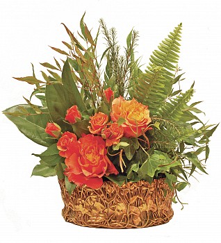 tiffany.planter.marshmarigold.best