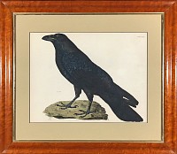 selby.raven