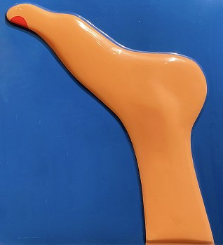 wesselmann.seascape.foot.crop