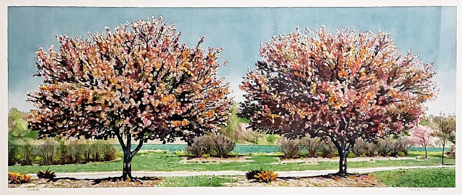 Kent Addison, April 23, 1996 (Dogwoods)
1996, Watercolor