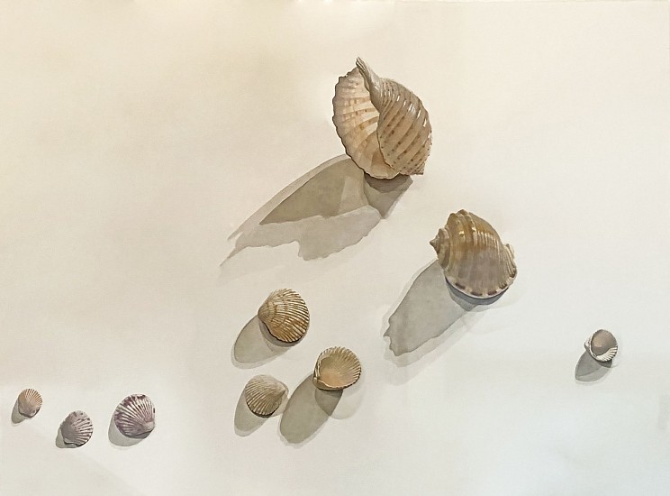 Kent Addison, Shells (Trompe-l'œil Still Life)
May 28, 1980, Watercolor