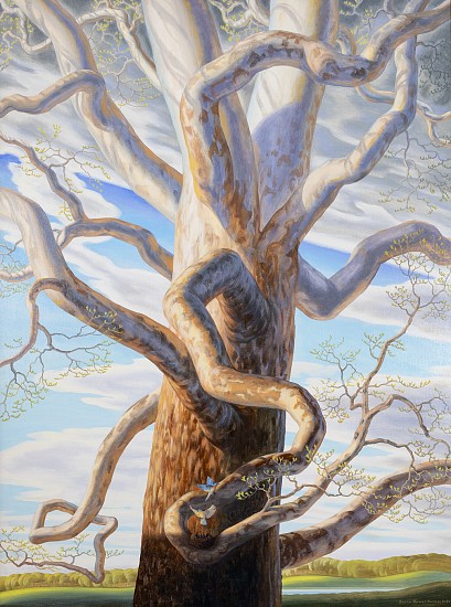 Bryan Haynes, Oak Tree
Oil on Canvas