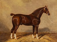 Clark.CopperKingChampion.Crop