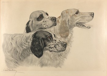 danchin.threeenglishsetters.cropped