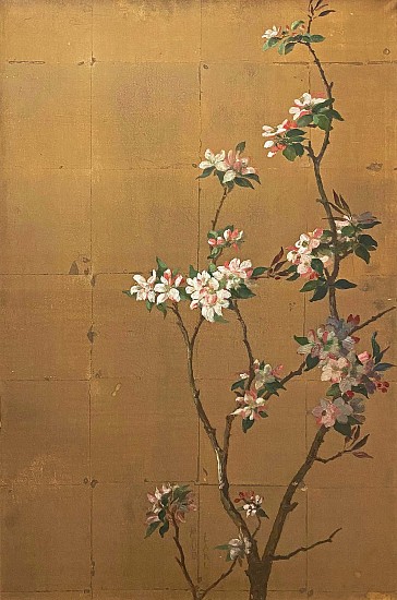 Maud Earl, Cherry Blossoms
Gouache on Rice Paper