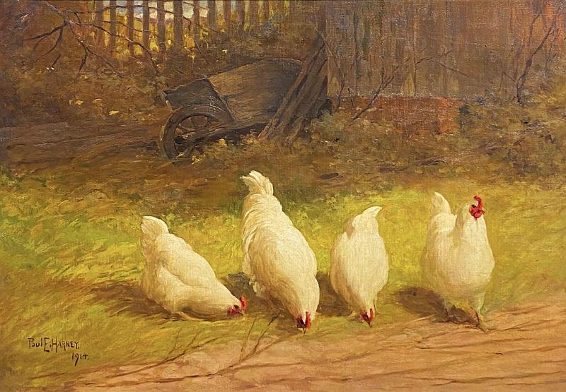 Four White Hens