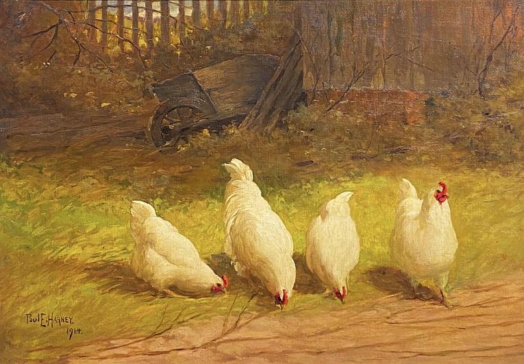 Four White Hens