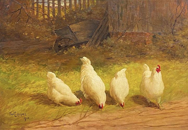 Four White Hens