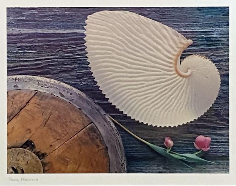 Seashell and Flower on Wooden Table