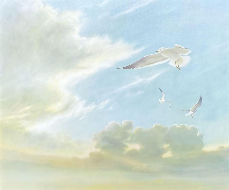 Seagulls (Birds in Flight)