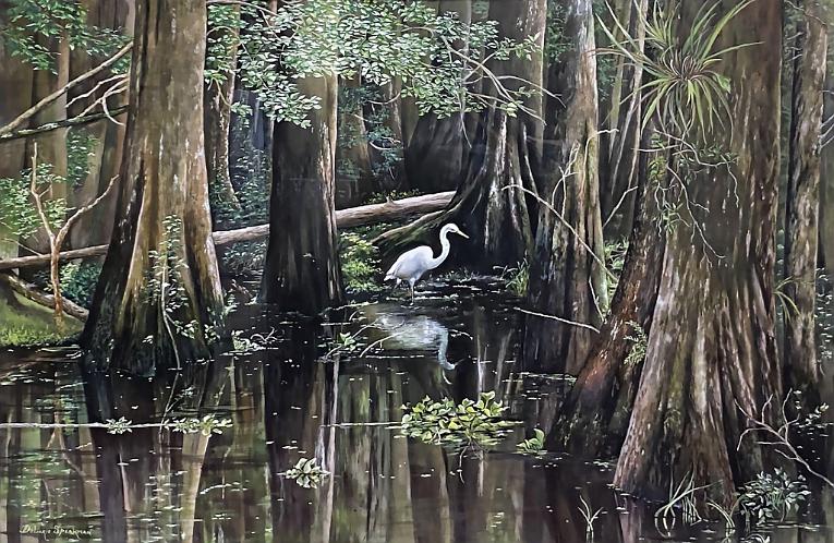 Egret in Everglade