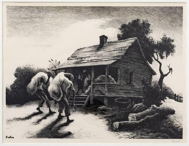 Back from the Fields