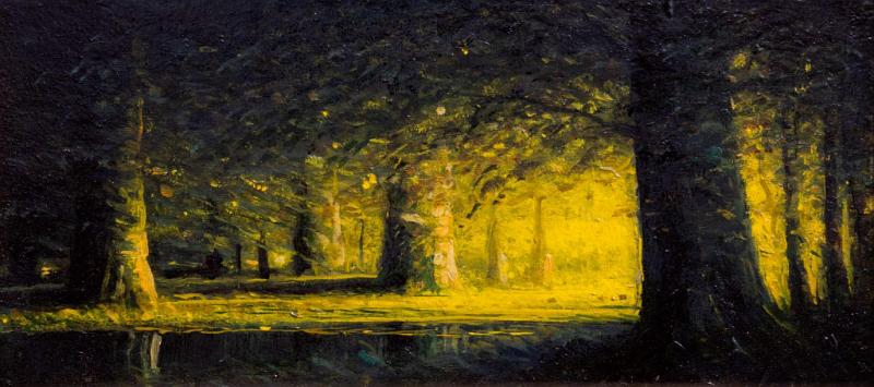 A Golden Light Through the Beechwoods