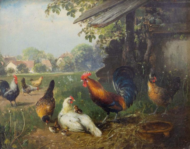 Roosters and Chickens (Farmyard Friends)