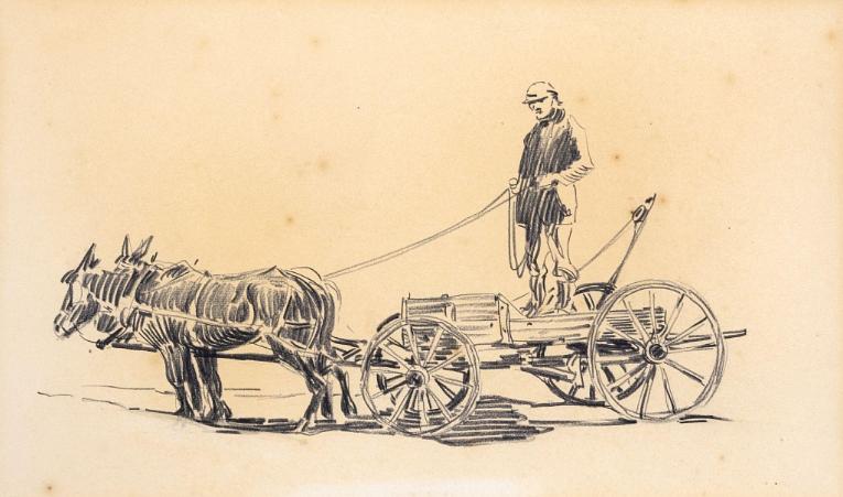 Mules and Cart