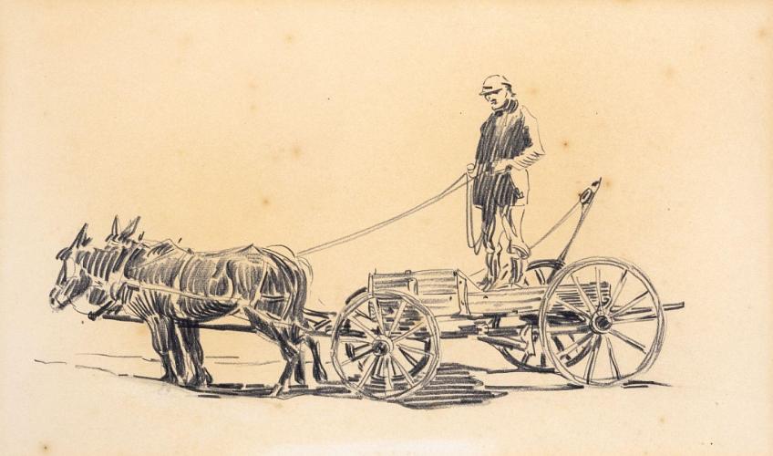 Mules and Cart