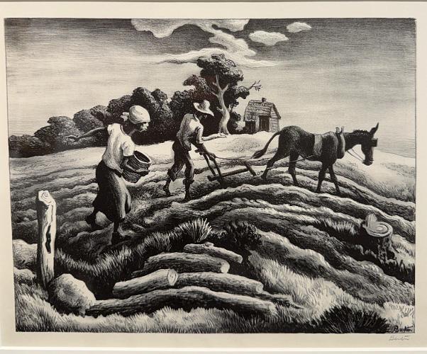 Planting