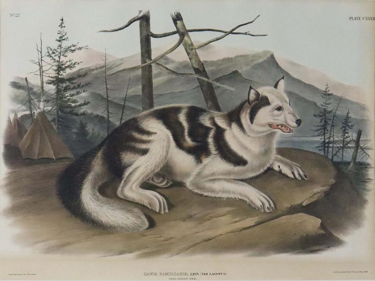 John James Audubon