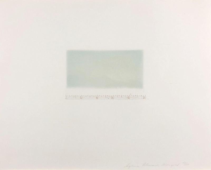 Sylvia Plimack Mangold