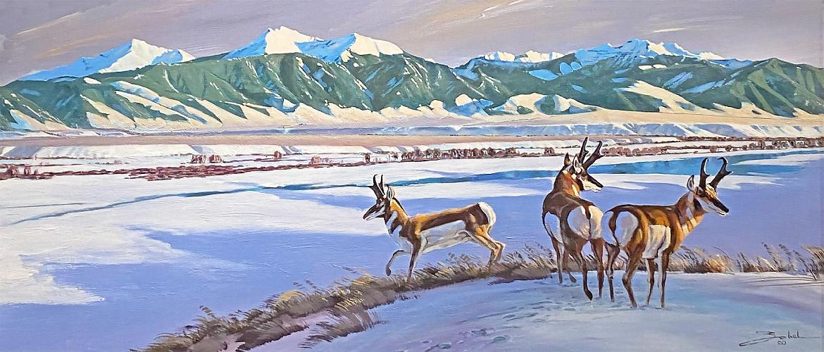 Larry Zabel
