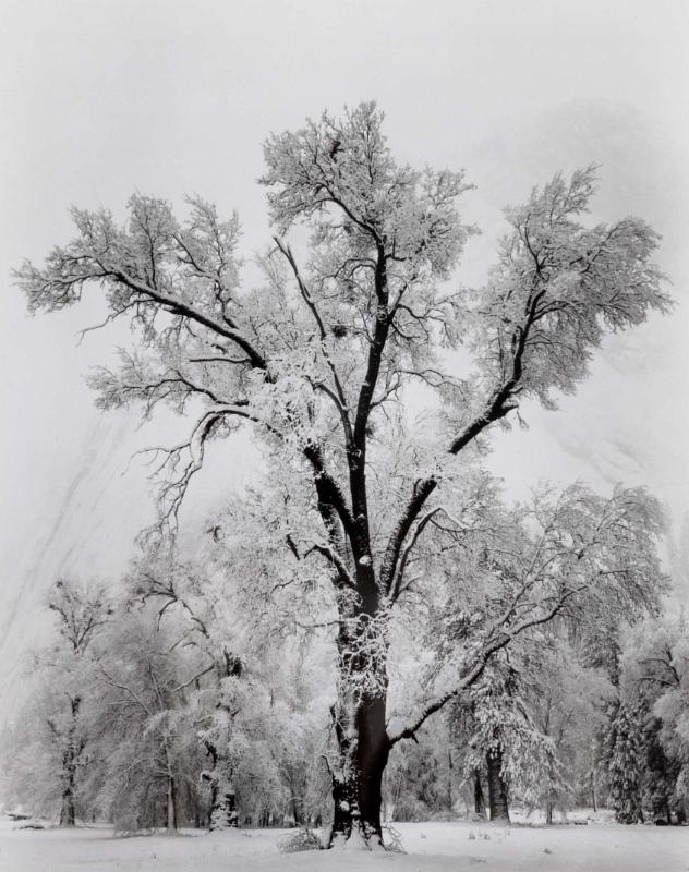 Ansel Adams