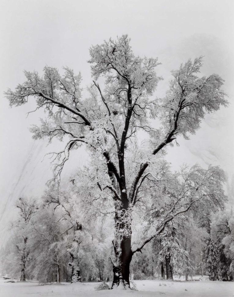 Ansel Adams