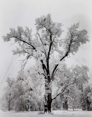 Ansel Adams