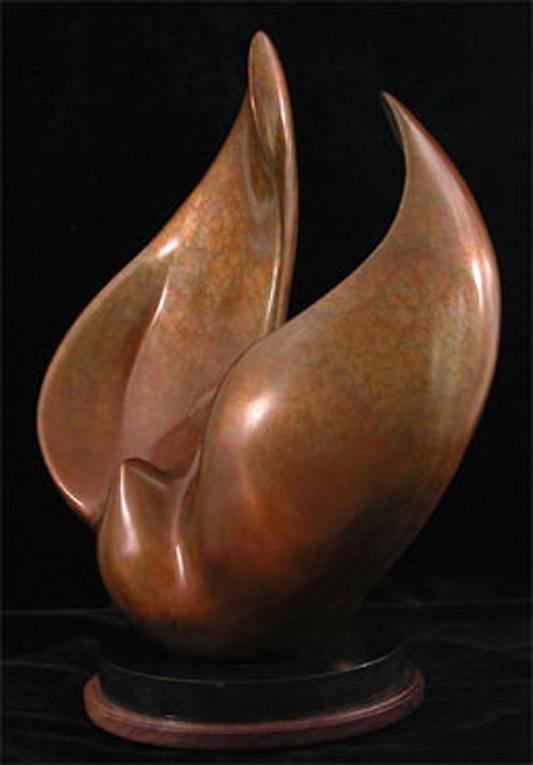 Encircling Dove