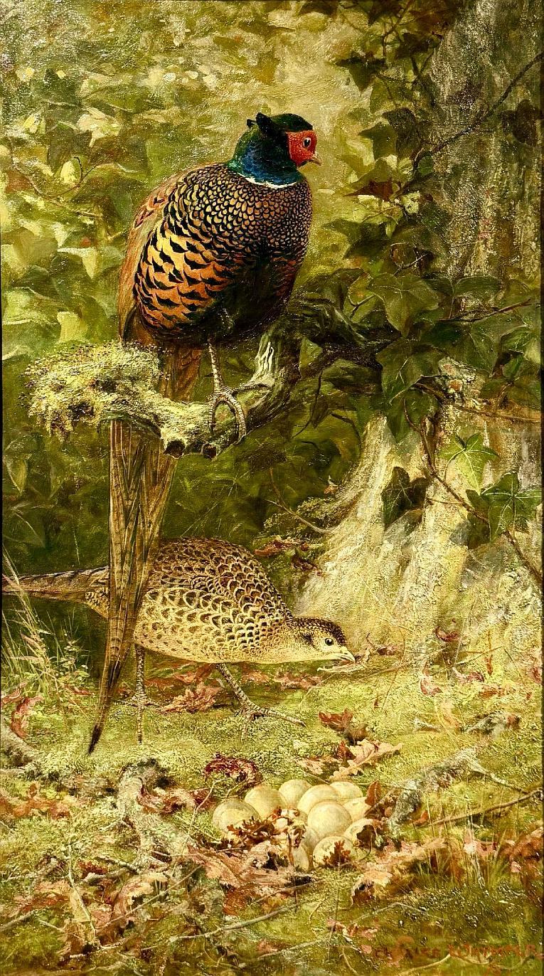 Pheasants