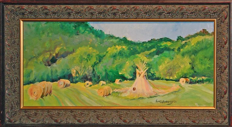 A Day at Dave and Chris' Home