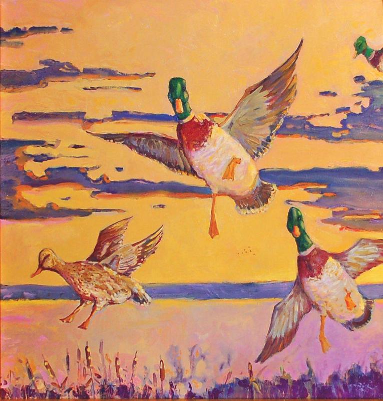 Set Wing Over Cass County