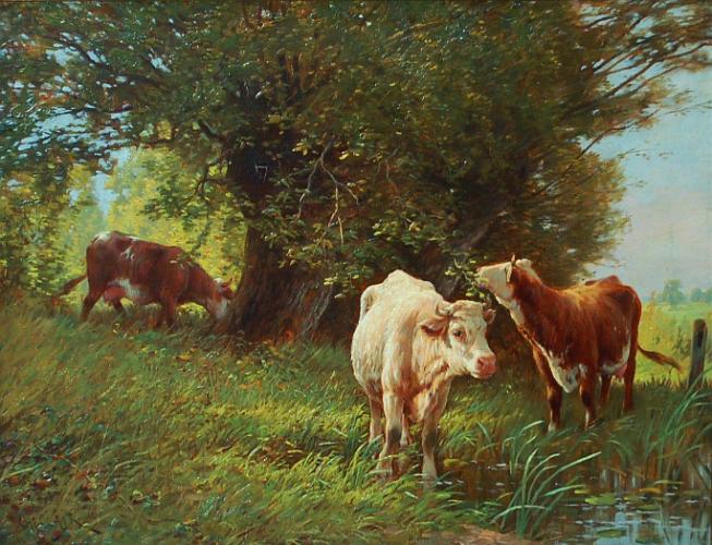 Cows in a Pasture