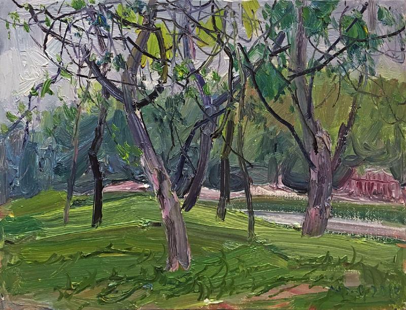 Forest Park Landscape II